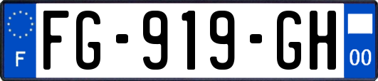 FG-919-GH