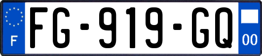 FG-919-GQ