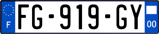 FG-919-GY