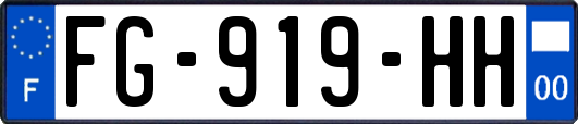 FG-919-HH