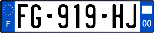 FG-919-HJ