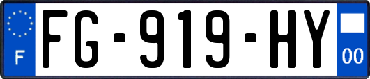FG-919-HY