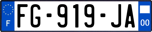 FG-919-JA