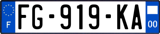 FG-919-KA