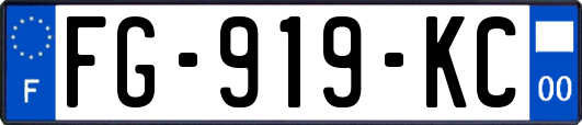 FG-919-KC