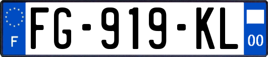 FG-919-KL