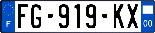 FG-919-KX