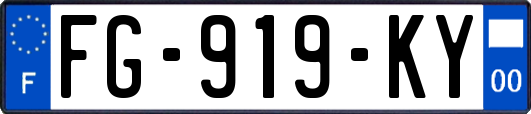 FG-919-KY