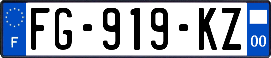 FG-919-KZ