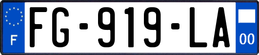 FG-919-LA