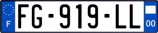 FG-919-LL