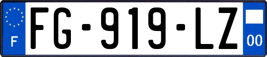 FG-919-LZ