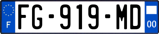 FG-919-MD