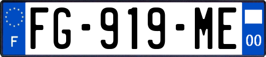 FG-919-ME