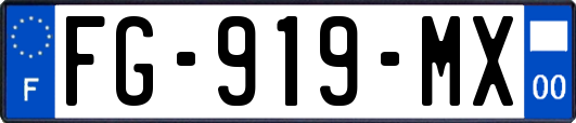 FG-919-MX