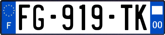 FG-919-TK