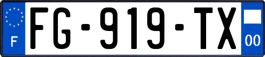 FG-919-TX