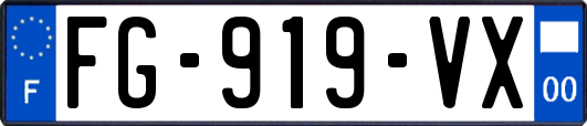 FG-919-VX