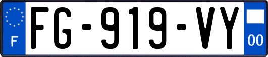 FG-919-VY