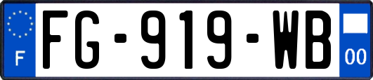 FG-919-WB