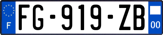 FG-919-ZB