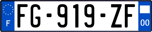 FG-919-ZF