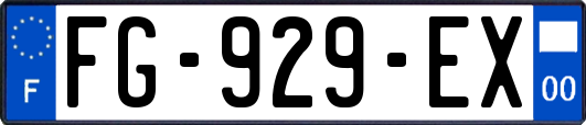 FG-929-EX