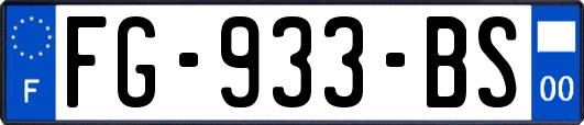 FG-933-BS