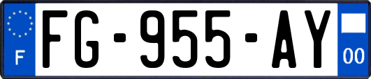 FG-955-AY