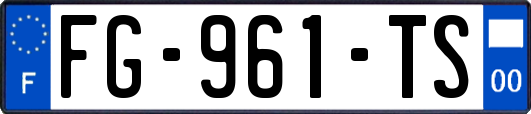 FG-961-TS