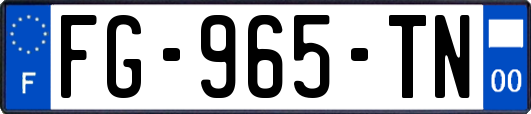 FG-965-TN