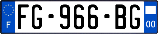 FG-966-BG