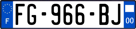 FG-966-BJ