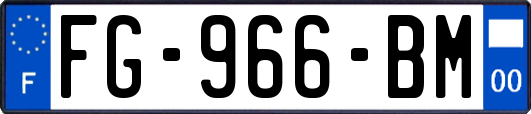 FG-966-BM