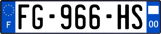 FG-966-HS