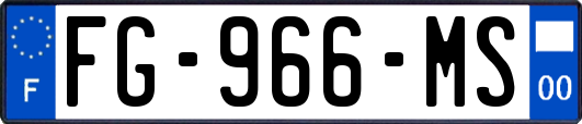 FG-966-MS