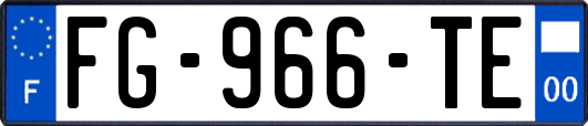 FG-966-TE
