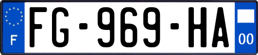 FG-969-HA