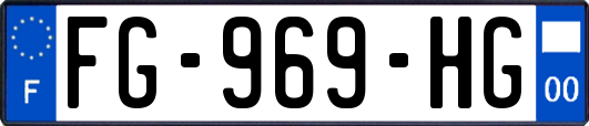 FG-969-HG