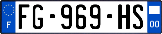 FG-969-HS