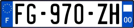 FG-970-ZH