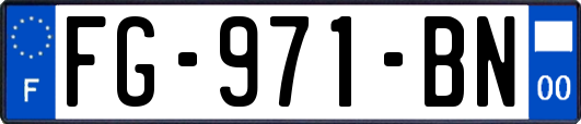 FG-971-BN