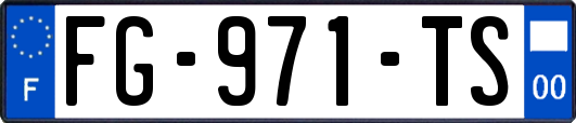 FG-971-TS