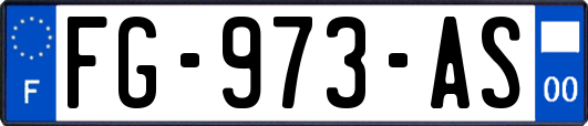 FG-973-AS