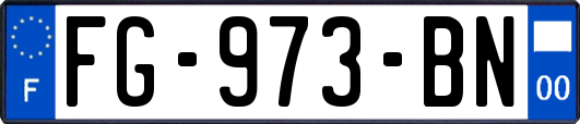 FG-973-BN