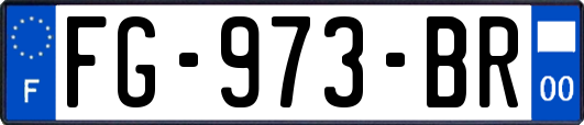 FG-973-BR