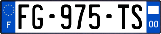 FG-975-TS