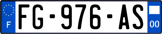 FG-976-AS