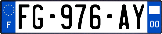 FG-976-AY