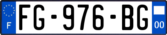 FG-976-BG